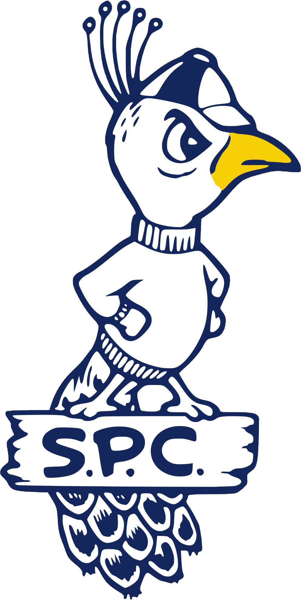 St. Peters Peacocks 1965-1982 alternate logo diy iron on heat transfer